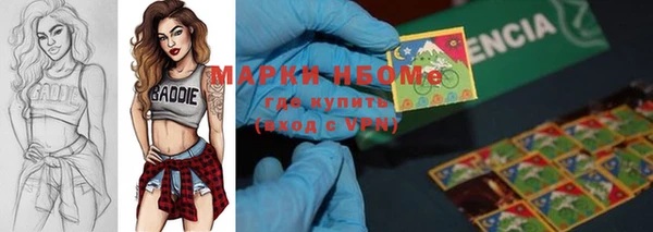 индика Абаза