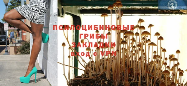 ешки Шарыпово