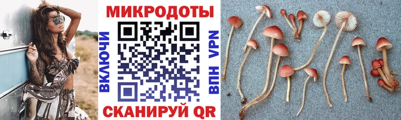 Галлюциногенные грибы Cubensis  Абинск 