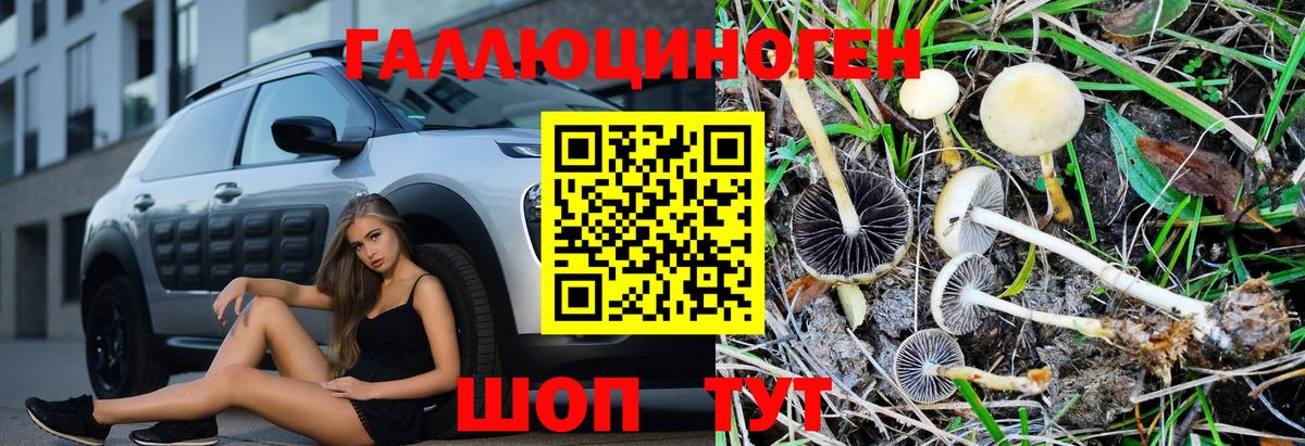 Галлюциногенные грибы Cubensis  где можно купить наркотик  Псилоцибиновые грибы мухоморы  Абинск 