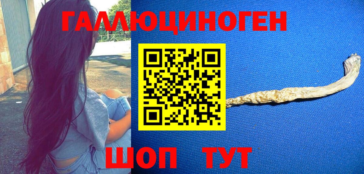 Галлюциногенные грибы Magic Shrooms  Вход с VPN  Абинск 