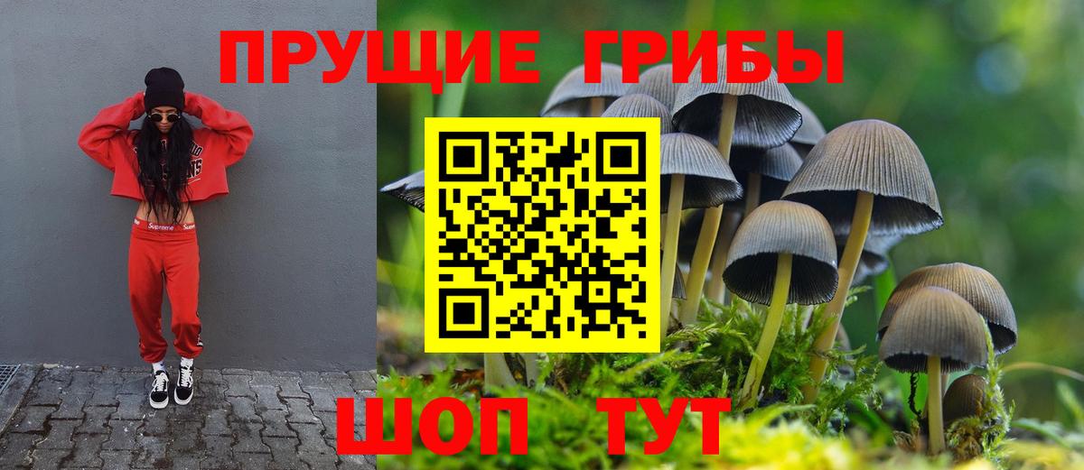 Галлюциногенные грибы прущие грибы Абинск