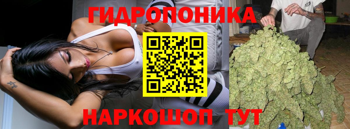 Конопля сатива  Каннабис марихуана  Абинск 